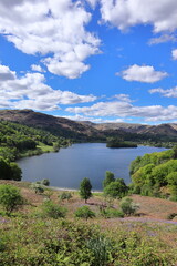 Fototapeta premium Scenic view of Grasmere Lake with calm water, green woodland and surrounding hills under a partly cloudy blue sky. Lake District, England, UK.