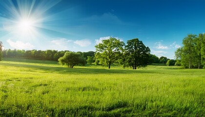 Obraz premium landschaft im sommer mit baumen und wiesen bei strahlendem sonnenschein