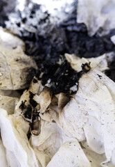 Burnt white paper
