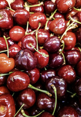 Cherries in a fruit shop