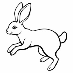 Obraz premium Rabbit jumping isolated on white background