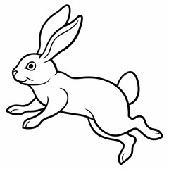 Obraz premium Rabbit jumping isolated on white background