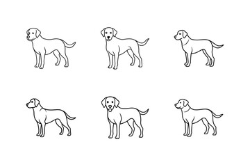 labrador retriever line art silhouette vector
