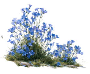 Serene Mountain Field with Gentian Flowers Highlight