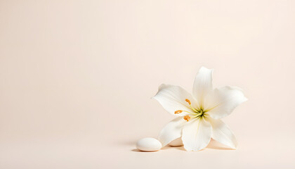 Elegant White Lily and Smooth Egg on Soft Pastel Background