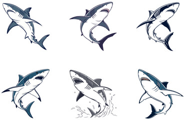 Shark Vector Designs Set Fierce and Modern Ocean Predator Illustrations