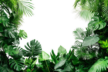 Tropical plants and trees growing in a lush green garden with white background