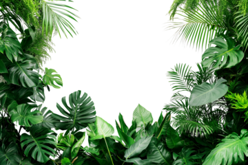Tropical plants and trees growing in a lush green garden with white background