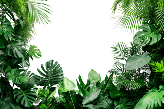 Tropical plants and trees growing in a lush green garden with white background