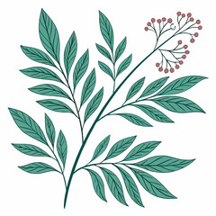 Fototapeta premium Flat vector Illustration of a foliage plant 