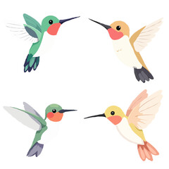 Iconical, Cute Hummingbird Set