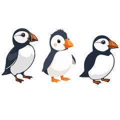 Multiple Style, Cute Puffin Designs