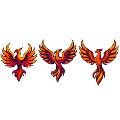 Iconical, Contoured Phoenix Designs 