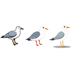 Fototapeta premium Multiple Seagull Design Illustrations 
