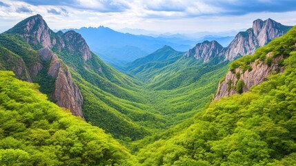 Naklejka premium A breathtaking view of lush green mountains and a deep valley, ideal for nature-related content, travel brochures, or environmental campaigns, evoking tranquility and the beauty of the outdoors,