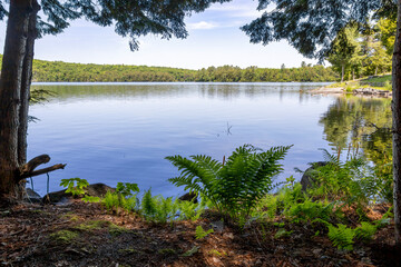 Solitaire Lake in Huntsville, Ontario offers a serene escape with its tranquil waters and lush greenery, perfect for relaxation and nature photography.