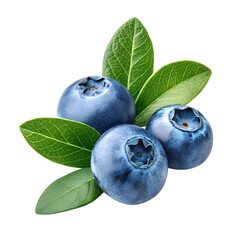Obraz premium Fresh Blueberry with Leaves Isolated on White Background
