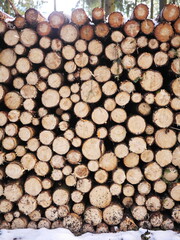 A pile of logs stacked on top of each other