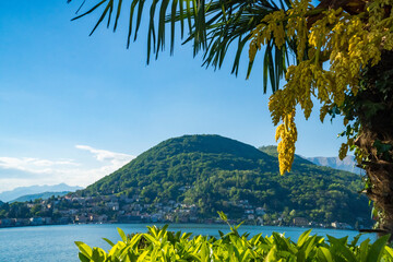 Spring view of Lake Lugano in the town of Caslano in the Swiss mountains