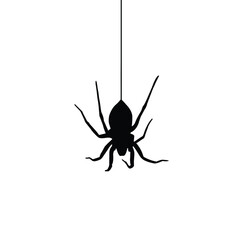 Simple Hanging Spider. Halloween spider silhouette for graphics use.