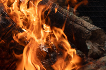 Flame wood in bonfire. Camp barbecue wood charcoal burns in the grill. Blaze fire flame texture...