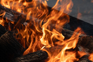 Flame wood in bonfire. Camp barbecue wood charcoal burns in the grill. Blaze fire flame texture...