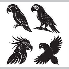 Vector illustration set of black and white flying bird silhouettes and icons