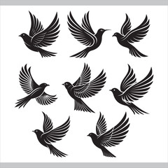 Vector illustration set of black and white flying bird silhouettes and icons