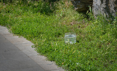 A water bowl placed on the side of the road for stray animals.