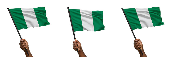Nigeria Flag Waving in Hand On Isolated Transparent Background

