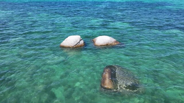 A quiet beach or riverbank stretches along the water&rsquo;s edge, scattered with smooth stones, driftwood, and patches of green vegetation. The gentle lapping of water