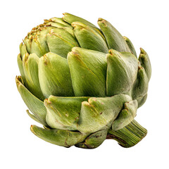 Fresh Green Artichoke Closeup Vegetable Food