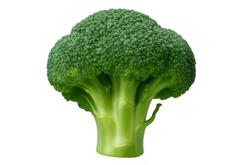 Vibrant green broccoli head against transparent background, showcasing freshness and nutritional value for clean eating lifestyle