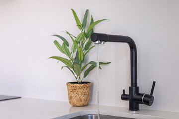 Black kitchen faucet with water running and plant decor