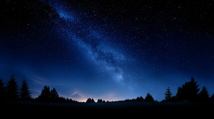 Starry Night Sky with Silhouetted Trees