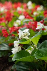 Washinton, DC Trip 2025