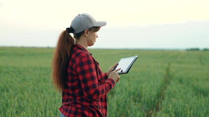 Female farmer working in field with green wheat using tablet computer. Businesswoman, farmer inspecting wheat field. Modern farmer growing grain on plantations. Digital technologies in agriculture
