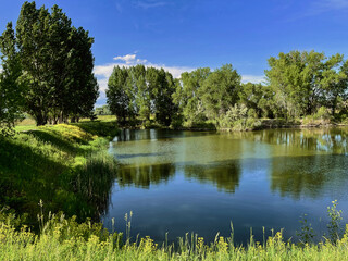 Obraz premium Spring View while Walking around the Fishing Pond at Nature Park in Rexburg Idaho.