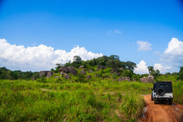 Safari vehicle driving through a Sri Lankan national park, capturing the wild tropical landscape and adventure vibe