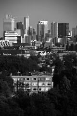 Rotterdam Cityscape in Black and White