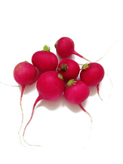 radishes on a white background