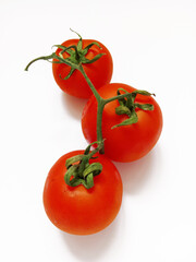 tomatoes on a branch on a white background