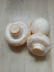fresh mushrooms. champignons, ingredients for cooking	