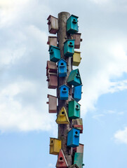 Lots of colorful wooden birdhouses