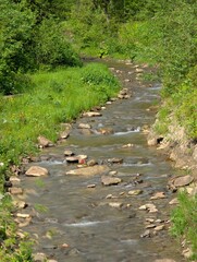 mountain river with a waterfall
