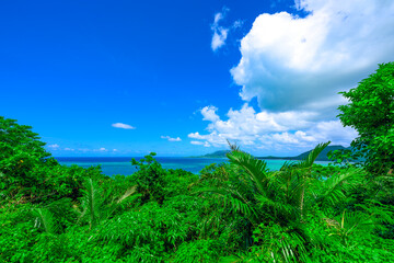 熱帯の緑に包まれた石垣島の絶景オーシャンビュー