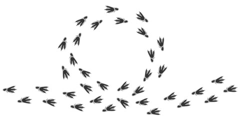Vector trail print of bird isolated on white background. Circle silhouette.  Footprint silhouette tracks of Penguin. Paw Print. Vector illustration. EPS10.