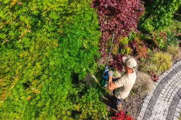 Gardener Trimming Lush Green Plants in a Beautifully Landscaped Garden During Daytime