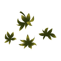 Strawberry leaf close-up. Part of the plant. Vector illustration isolated on white background.