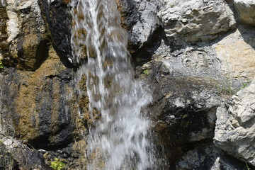 water flowing over rocks in forest